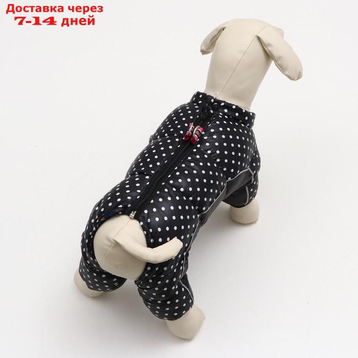 Комбинезон для собак "Горошек", размер 14 (ДС 32, ОГ 42, ОШ 31 см), чёрный - фото 3 - id-p227121417