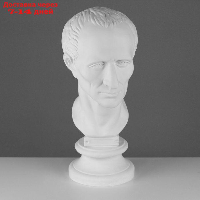 Гипсовая фигура, голова Цезаря "Мастерская Экорше", 20 х 27 х 52 см - фото 1 - id-p226976603