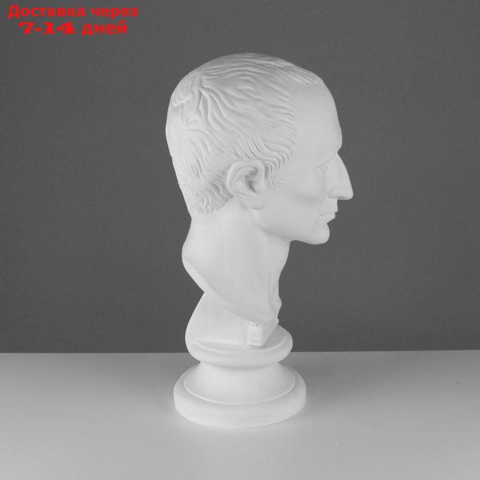Гипсовая фигура, голова Цезаря "Мастерская Экорше", 20 х 27 х 52 см - фото 2 - id-p226976603