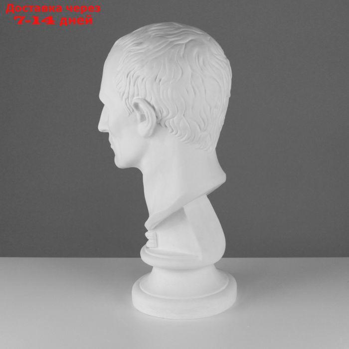 Гипсовая фигура, голова Цезаря "Мастерская Экорше", 20 х 27 х 52 см - фото 3 - id-p226976603