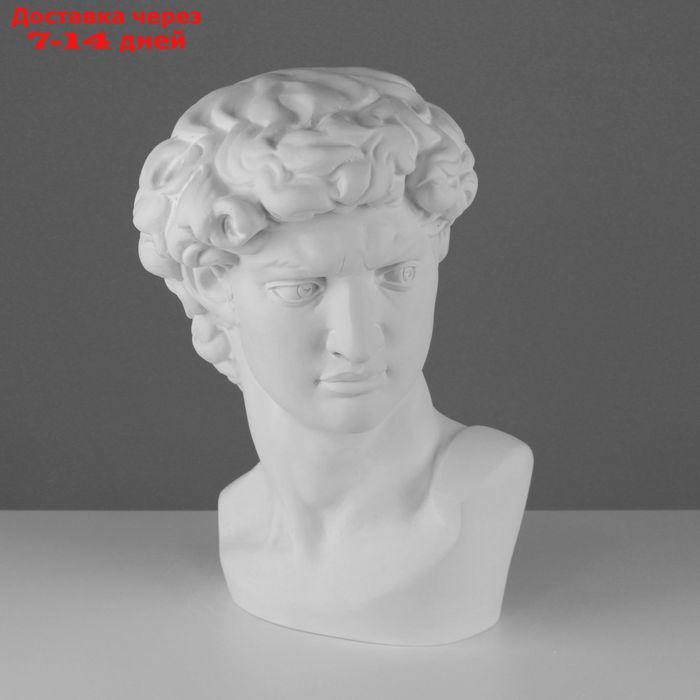 Гипсовая фигура, Давида Микеланджело "Мастерская Экорше", 30 х 28 х 46 см - фото 1 - id-p226976604