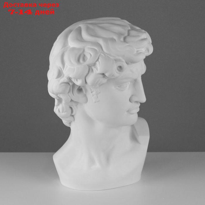 Гипсовая фигура, Давида Микеланджело "Мастерская Экорше", 30 х 28 х 46 см - фото 2 - id-p226976604