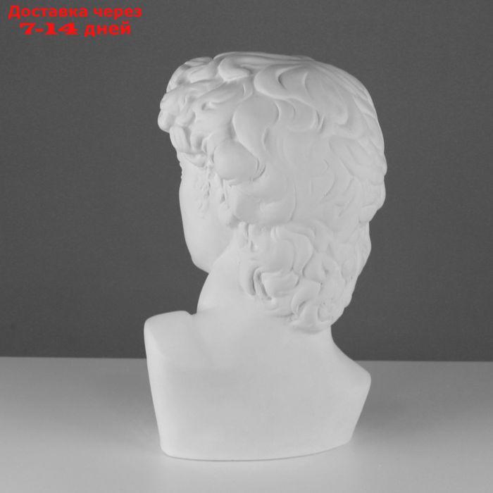 Гипсовая фигура, Давида Микеланджело "Мастерская Экорше", 30 х 28 х 46 см - фото 3 - id-p226976604
