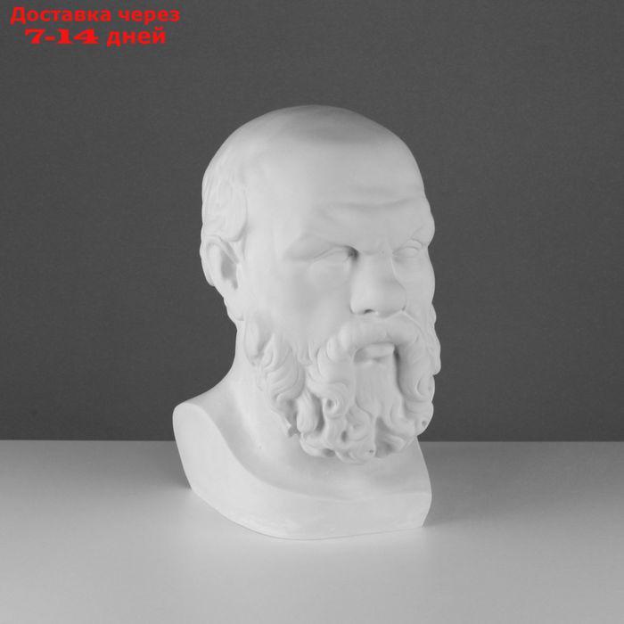 Гипсовая фигура, голова Сократа "Мастерская Экорше", 20 х 20 х 38,5 см - фото 1 - id-p226976612