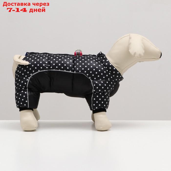 Комбинезон для собак "Горошек", размер 8 (ДС 23, ОГ 30, ОШ 22 см), чёрный - фото 2 - id-p227121484