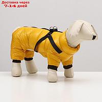 Комбинезон для собак со шлейкой "Моден", размер 10 (ДС 25, ОГ 34, ОШ 24 см), жёлтый