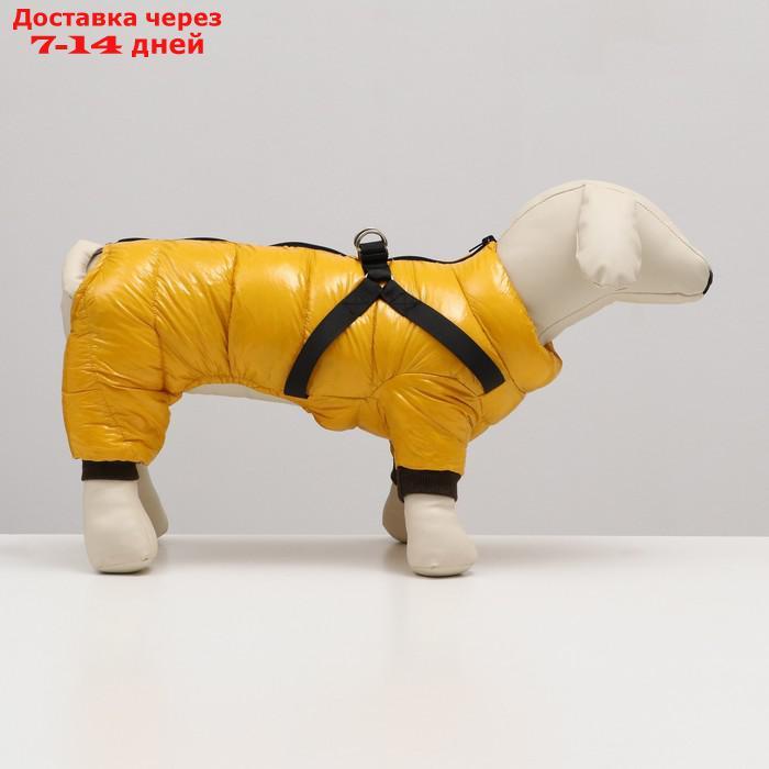 Комбинезон для собак со шлейкой "Моден", размер 10 (ДС 25, ОГ 34, ОШ 24 см), жёлтый - фото 2 - id-p227121485