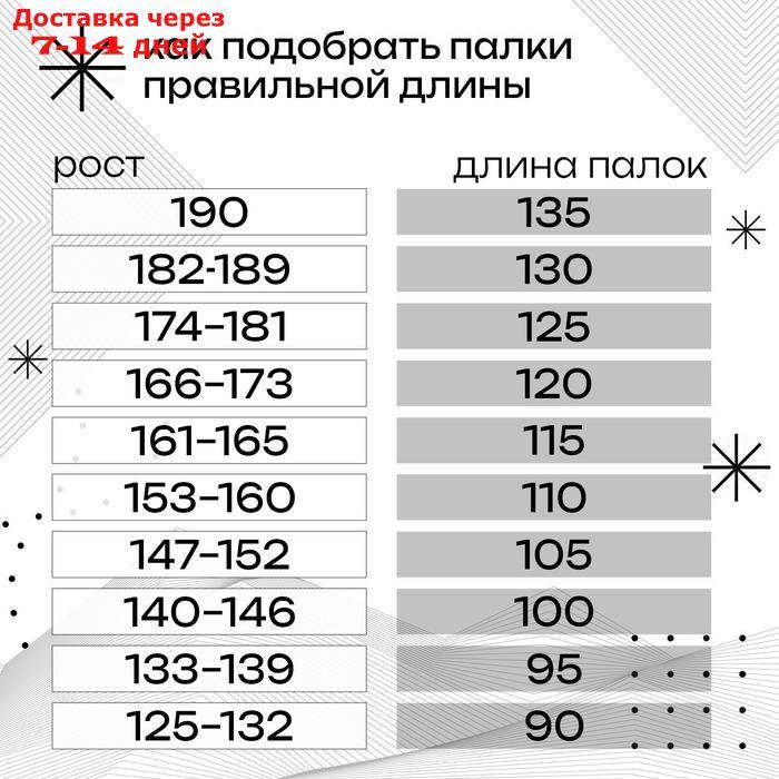 Палки лыжные алюминиевые Snowline, длина 170 см - фото 4 - id-p227103112