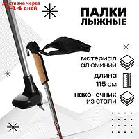 Лыжные палки Gekars Expert Plus, длина 115 см