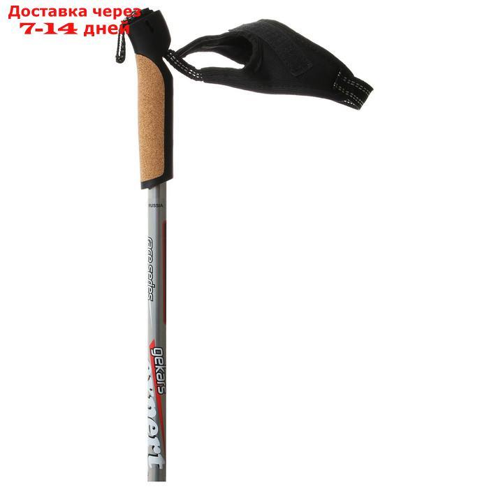 Лыжные палки Gekars Expert Plus, длина 115 см - фото 7 - id-p227103114