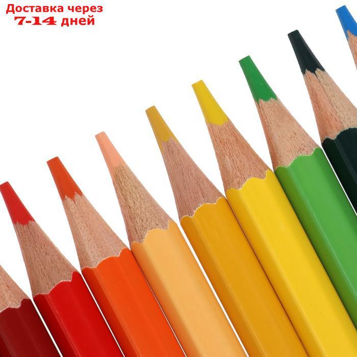 Цветные карандаши 48 цветов, Луч "Классика", шестигранные - фото 4 - id-p227118951