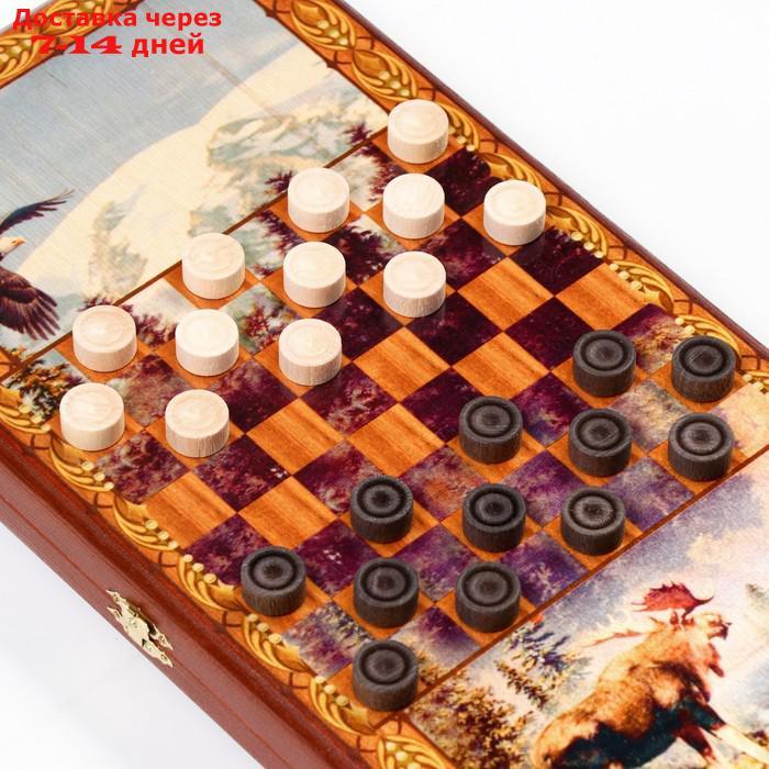 Нарды "Медведь", деревянная доска 40х40 см, с полем для игры в шашки - фото 3 - id-p226940556