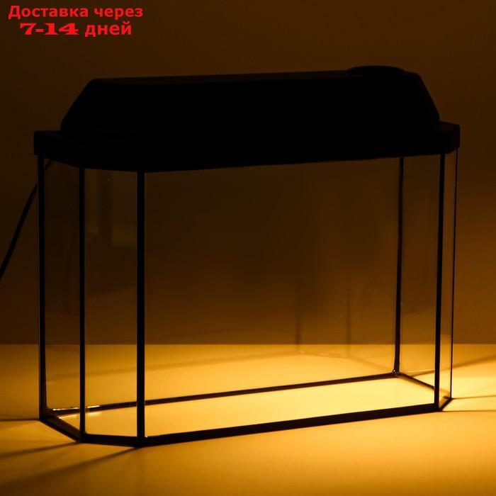 Аквариум панорамный с крышкой, 15 литров, 40 х 14,5 х 27/32,5 см, чёрный - фото 6 - id-p227097770