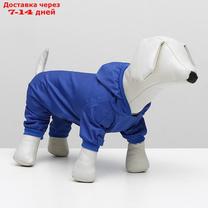 Комбинезон для собак, L (ДС 30 см, ОГ 38 см), синий - фото 1 - id-p227097774