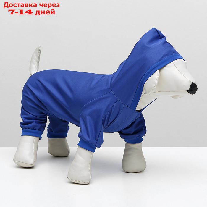 Комбинезон для собак, L (ДС 30 см, ОГ 38 см), синий - фото 3 - id-p227097774