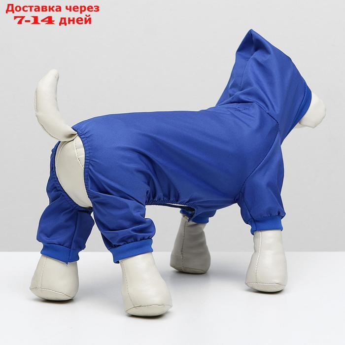Комбинезон для собак, L (ДС 30 см, ОГ 38 см), синий - фото 5 - id-p227097774