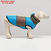 Куртка для собак на молнии, размер 8 (ДС 23 см, ОГ 30, ОШ 22 см), серо-голубая, фото 2