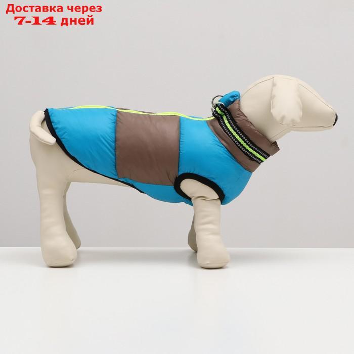 Куртка для собак на молнии, размер 8 (ДС 23 см, ОГ 30, ОШ 22 см), серо-голубая - фото 2 - id-p227121502