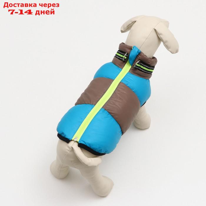 Куртка для собак на молнии, размер 8 (ДС 23 см, ОГ 30, ОШ 22 см), серо-голубая - фото 3 - id-p227121502