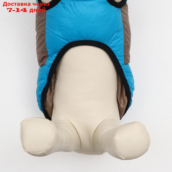Куртка для собак на молнии, размер 8 (ДС 23 см, ОГ 30, ОШ 22 см), серо-голубая - фото 5 - id-p227121502
