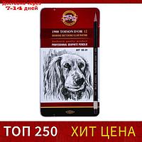 Набор карандашей чернографитных разной твердости 12 штук Koh-i-Noor 1912, 8B-2H, утолщённые, в металлическом