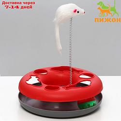 Игрушка для кошек "Загадочный круг - Рыбки", мышь на пружине и шарик, 23х7 см,красная/серая   791613