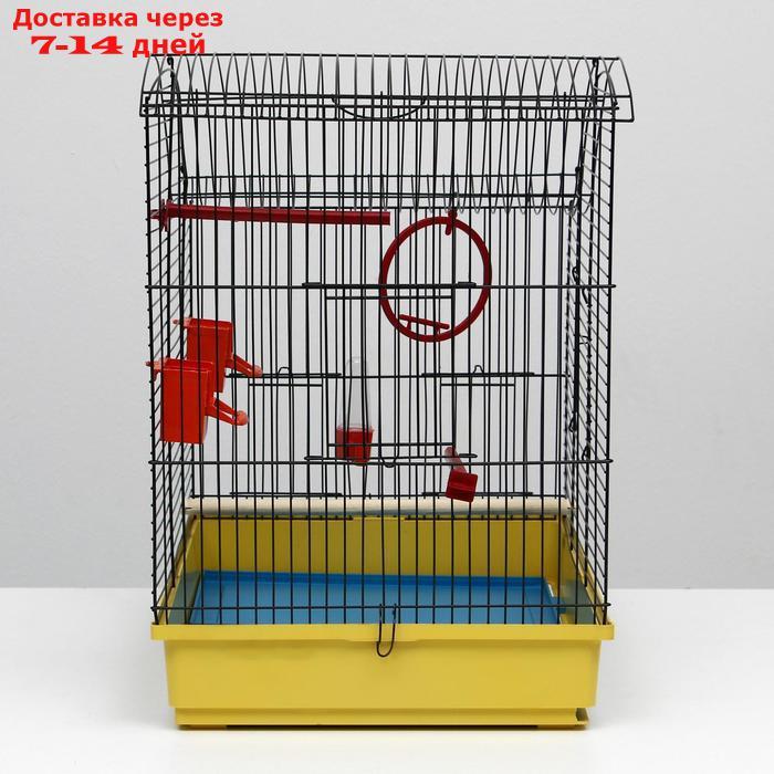 Клетка для попугая "Фиона", 3 яруса, 48 х 38 х 53 см, микс цветов - фото 3 - id-p227097838