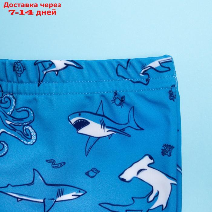 Плавки купальные для мальчика KAFTAN "Подводный мир" рост 110-116 (32), цвет голубой - фото 2 - id-p227112638