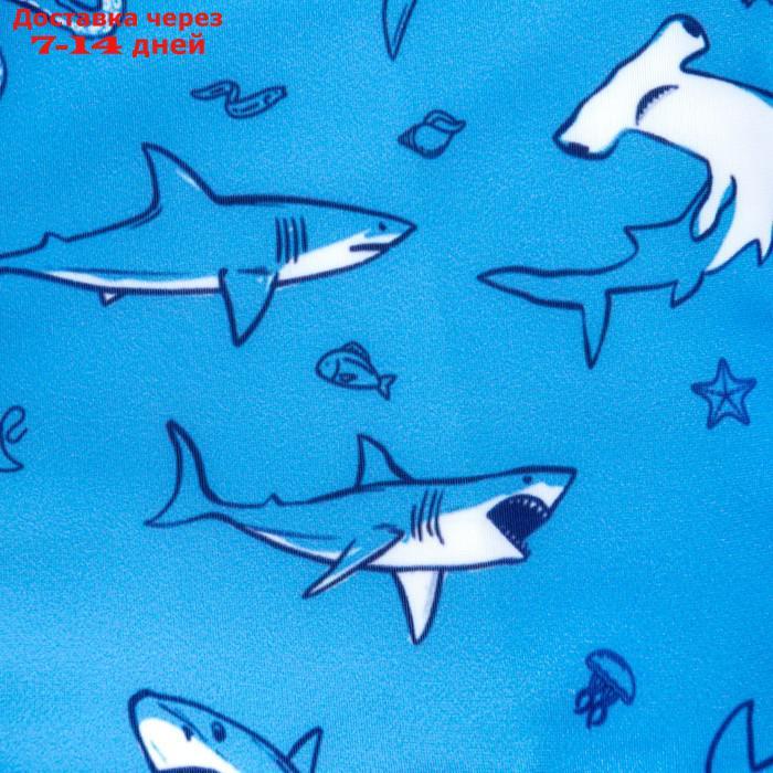 Плавки купальные для мальчика KAFTAN "Подводный мир" рост 110-116 (32), цвет голубой - фото 3 - id-p227112638