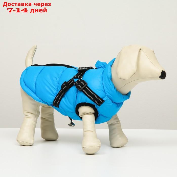 Куртка для собак со шлейкой, размер 8 (ДС 23 см, ОГ 30 см, ОГ 22 см), лазурная - фото 1 - id-p227104873