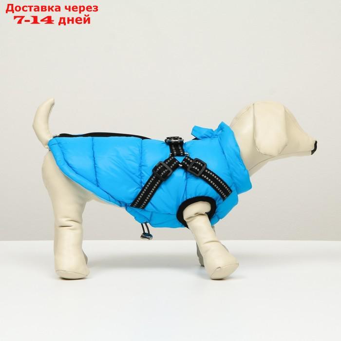 Куртка для собак со шлейкой, размер 8 (ДС 23 см, ОГ 30 см, ОГ 22 см), лазурная - фото 2 - id-p227104873