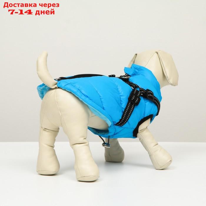 Куртка для собак со шлейкой, размер 8 (ДС 23 см, ОГ 30 см, ОГ 22 см), лазурная - фото 3 - id-p227104873