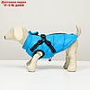 Куртка для собак со шлейкой,  размер 8 (ДС 23 см, ОГ 30 см, ОГ 22 см), лазурная, фото 4