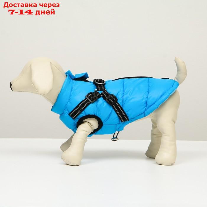 Куртка для собак со шлейкой, размер 8 (ДС 23 см, ОГ 30 см, ОГ 22 см), лазурная - фото 4 - id-p227104873