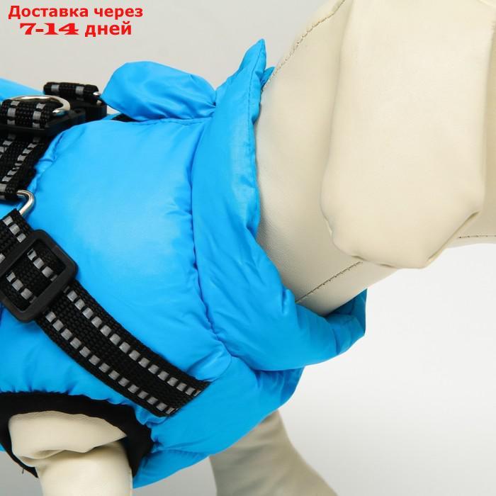 Куртка для собак со шлейкой, размер 8 (ДС 23 см, ОГ 30 см, ОГ 22 см), лазурная - фото 5 - id-p227104873