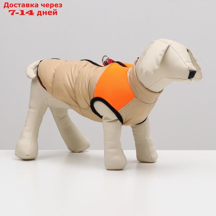 Куртка для собак на молнии, размер 16 (ДС 36 см, ОГ 46 см, ОШ 35 см), бежевая с оранжевым - фото 3 - id-p227104875