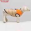 Куртка для собак на молнии, размер 16 (ДС 36 см, ОГ 46 см, ОШ 35 см), бежевая с оранжевым, фото 4