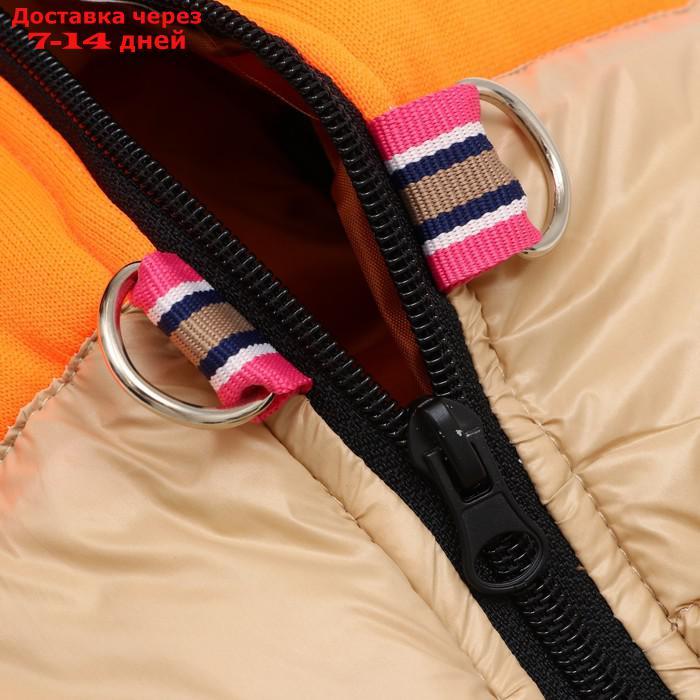 Куртка для собак на молнии, размер 16 (ДС 36 см, ОГ 46 см, ОШ 35 см), бежевая с оранжевым - фото 10 - id-p227104875