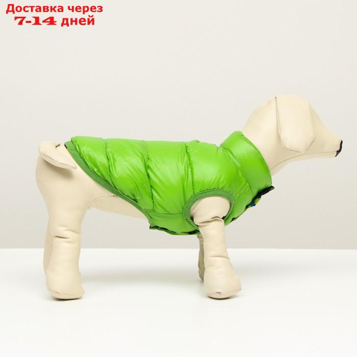 Куртка для собак двухсторонняя с принтом, размер 8 (ДС 23 см, ОГ 30, ОГ 22 см), зелёная - фото 3 - id-p227104876