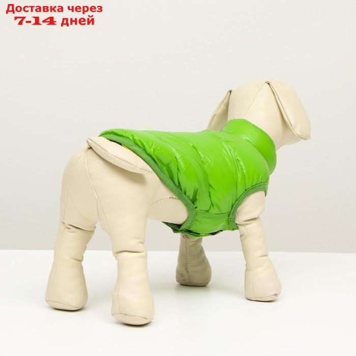 Куртка для собак двухсторонняя с принтом, размер 8 (ДС 23 см, ОГ 30, ОГ 22 см), зелёная - фото 4 - id-p227104876