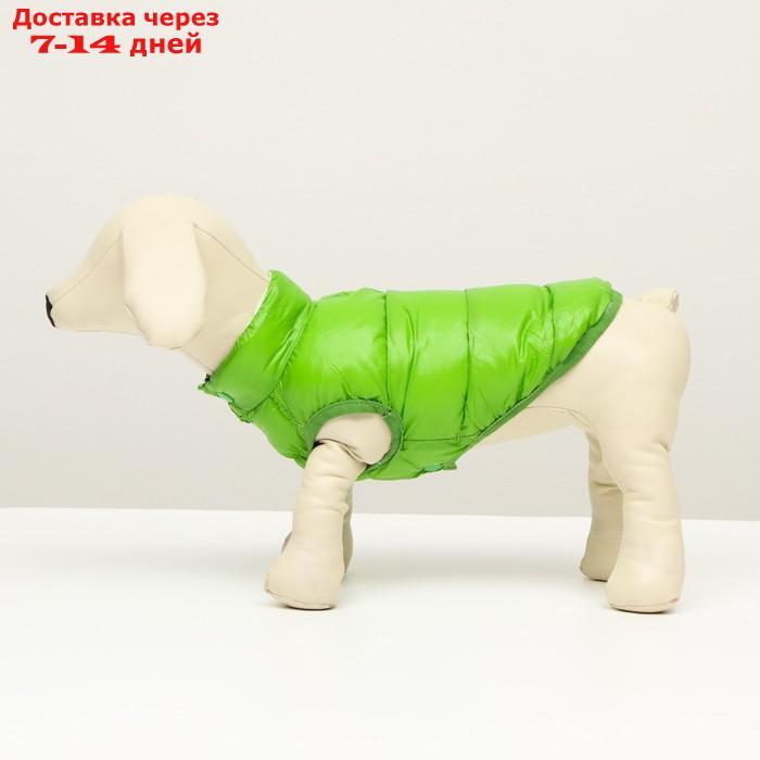 Куртка для собак двухсторонняя с принтом, размер 8 (ДС 23 см, ОГ 30, ОГ 22 см), зелёная - фото 5 - id-p227104876