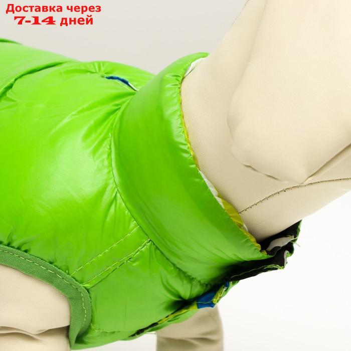 Куртка для собак двухсторонняя с принтом, размер 8 (ДС 23 см, ОГ 30, ОГ 22 см), зелёная - фото 6 - id-p227104876