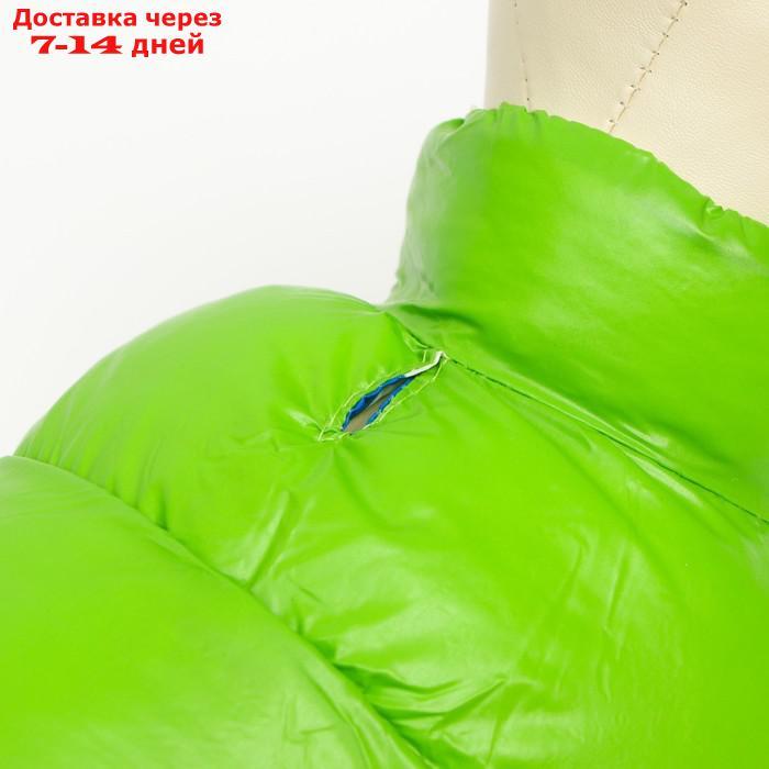 Куртка для собак двухсторонняя с принтом, размер 8 (ДС 23 см, ОГ 30, ОГ 22 см), зелёная - фото 7 - id-p227104876
