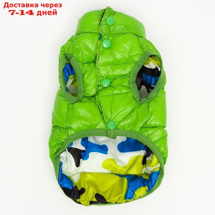 Куртка для собак двухсторонняя с принтом, размер 8 (ДС 23 см, ОГ 30, ОГ 22 см), зелёная - фото 10 - id-p227104876