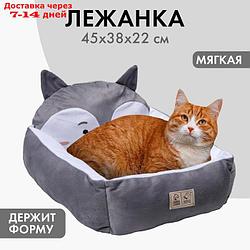 Лежанка с бортиком "Хаски" 45х38х22 см