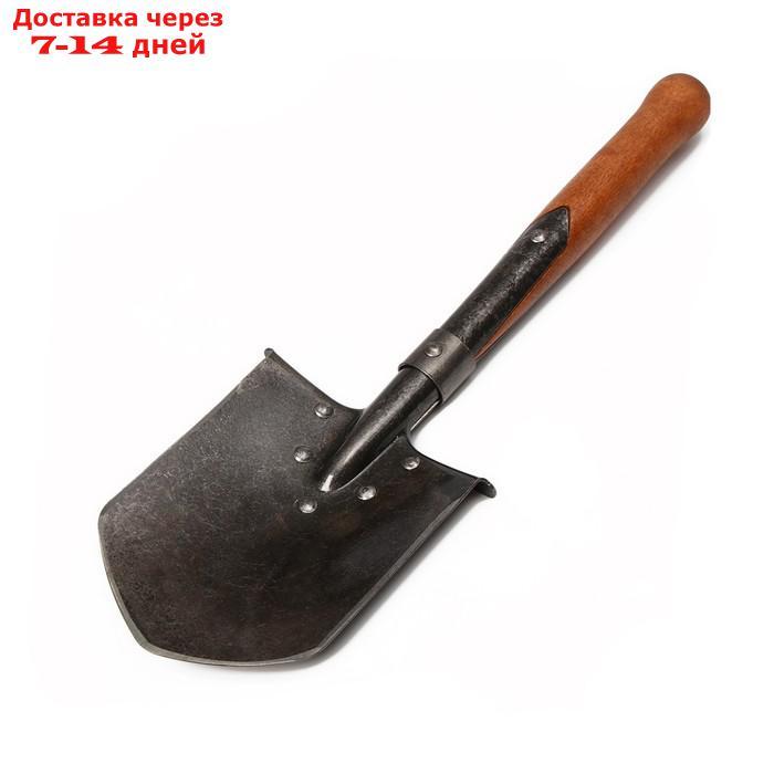 Лопата автомобильная, сапёрная, L = 51 см, деревянный черенок, без ручки - фото 1 - id-p227130773