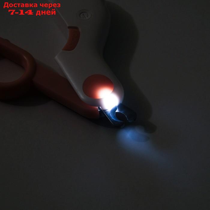 Когтерез - ножницы для животных с LED фонарём, розовый - фото 2 - id-p227126819