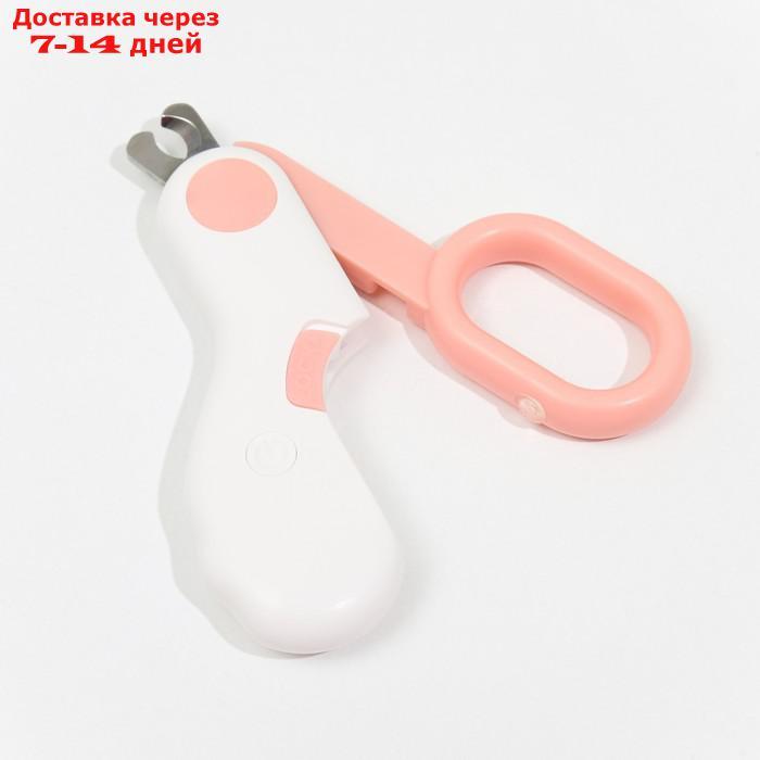 Когтерез - ножницы для животных с LED фонарём, розовый - фото 4 - id-p227126819