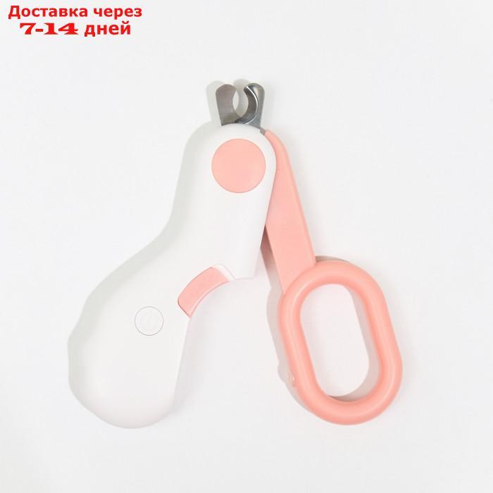 Когтерез - ножницы для животных с LED фонарём, розовый - фото 5 - id-p227126819