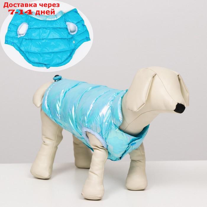 Куртка для собак двухсторонняя с утяжкой, размер 18(ДС 40 см,ОГ 50 см,ОШ 38 см),голубая - фото 1 - id-p227104881